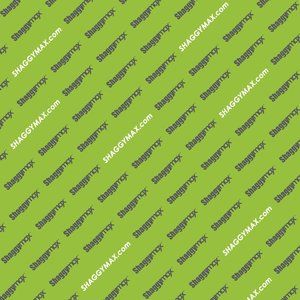 Meet your Posher, ShaggyMax